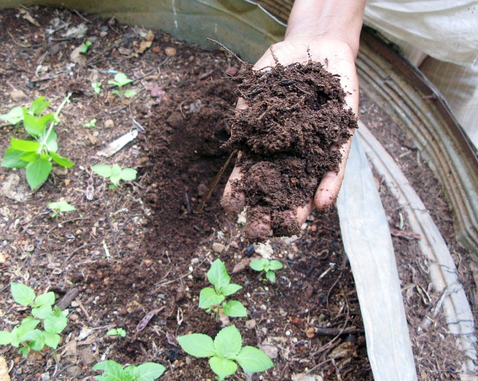 Composting