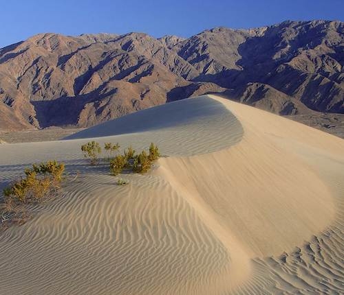 Death Valley sand dunes