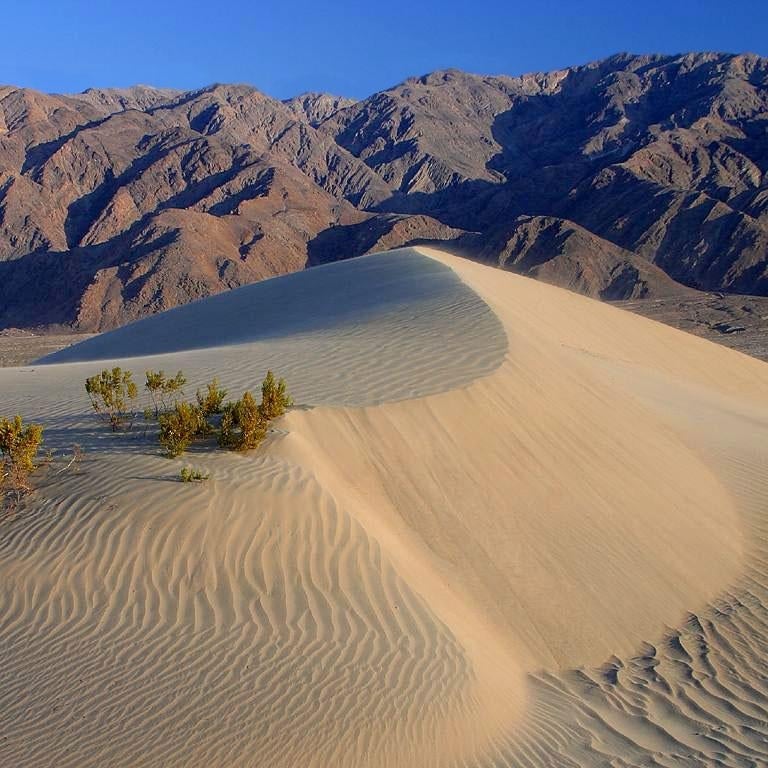 Death Valley sand dunes