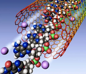 DNA nanotube