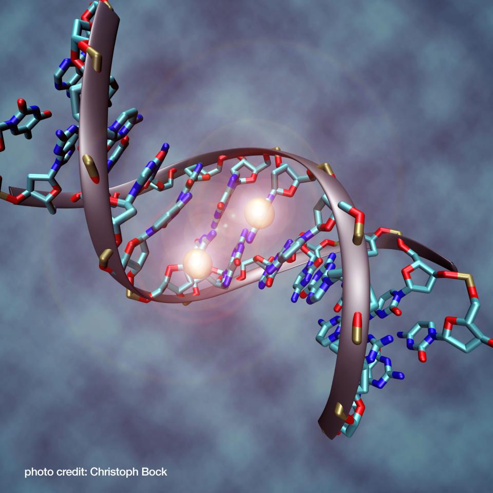 DNA methylation illustration