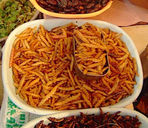 Street insect food in Thailand