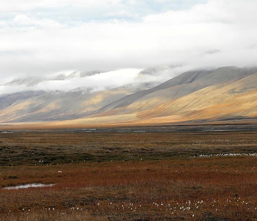 sloping tundra