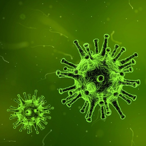 Virus illustration by Arek Socha from Pixabay 