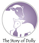 the 
  story of dolly